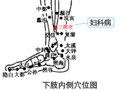 慢性盆腔炎理疗仪